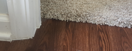 Seamless Carpet to Hardwood Floor Transitions - SheekGeek