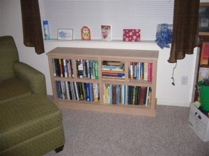 Bookcase Before Stain