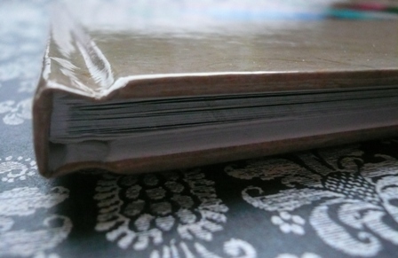 This is the view of the binding when the book is closed.