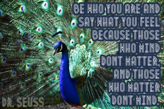 Peacock True Colors Hard Made Easy to Read