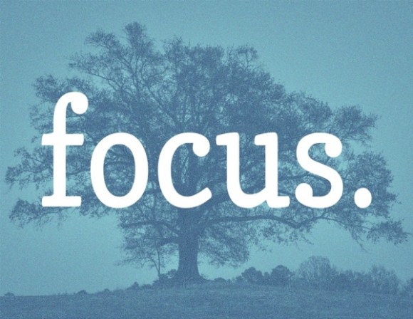 Focus in 2014 - SheekGeek