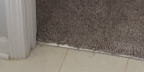 Seamless Carpet To Hardwood Floor, Transition Between Tile And Carpet On Concrete